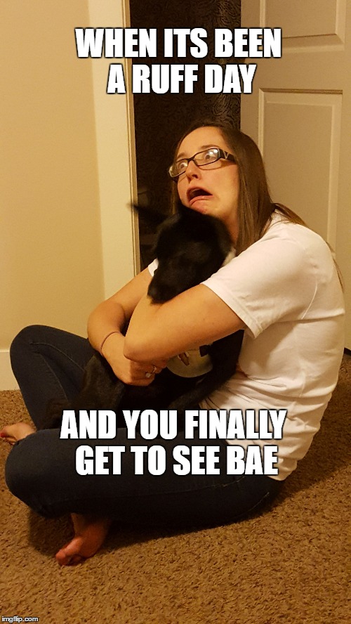 WHEN ITS BEEN A RUFF DAY; AND YOU FINALLY GET TO SEE BAE | image tagged in bae,bad pun dog,love live,still a better love story than twilight | made w/ Imgflip meme maker