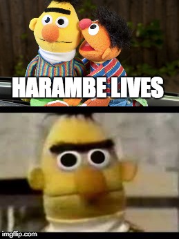 HARAMBE LIVES | image tagged in harambe | made w/ Imgflip meme maker