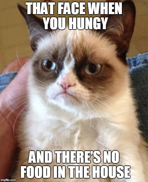 Grumpy Cat | THAT FACE WHEN YOU HUNGY; AND THERE'S NO FOOD IN THE HOUSE | image tagged in memes,grumpy cat | made w/ Imgflip meme maker