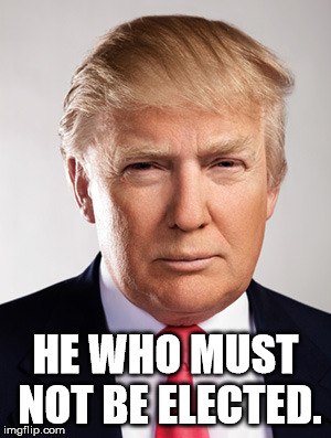 dump the donald | HE WHO MUST NOT BE ELECTED. | image tagged in donald trump | made w/ Imgflip meme maker