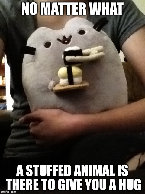 Pusheen plush :3 | NO MATTER WHAT; A STUFFED ANIMAL IS THERE TO GIVE YOU A HUG | image tagged in memes | made w/ Imgflip meme maker