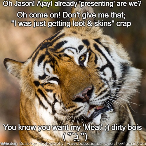 Pervy Tiger  | Oh Jason! Ajay! already 'presenting' are we? Oh come on! Don't give me that; "I was just getting loot & skins" crap; You know you want my 'Meat' ;) dirty bois; ( ͡° ͜ʖ ͡°) | image tagged in pervy tiger | made w/ Imgflip meme maker