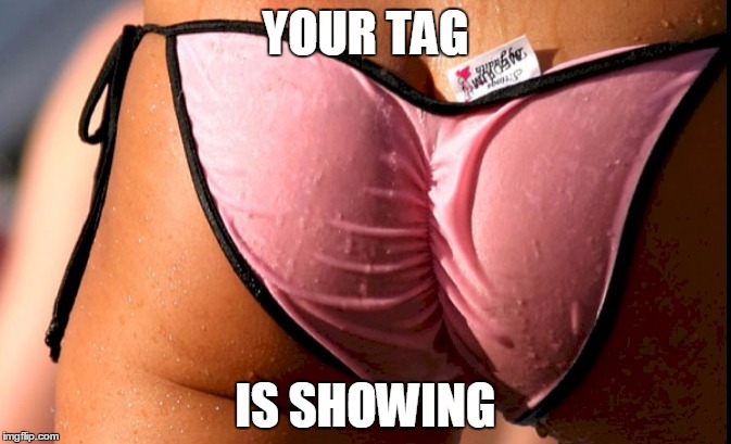 YOUR TAG; IS SHOWING | image tagged in bikini | made w/ Imgflip meme maker