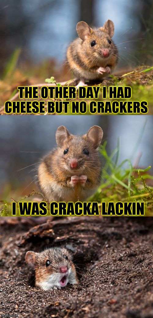 My daughter told me this joke today when we were out of crackers, so of course it turned into a meme ;) | THE OTHER DAY I HAD CHEESE BUT NO CRACKERS; I WAS CRACKA LACKIN | image tagged in bad pun mouse | made w/ Imgflip meme maker
