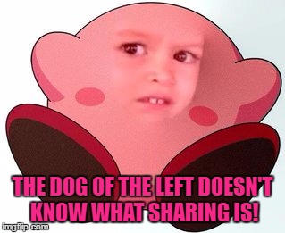 THE DOG OF THE LEFT DOESN'T KNOW WHAT SHARING IS! | made w/ Imgflip meme maker