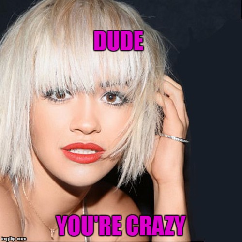 ditz | DUDE YOU'RE CRAZY | image tagged in ditz | made w/ Imgflip meme maker