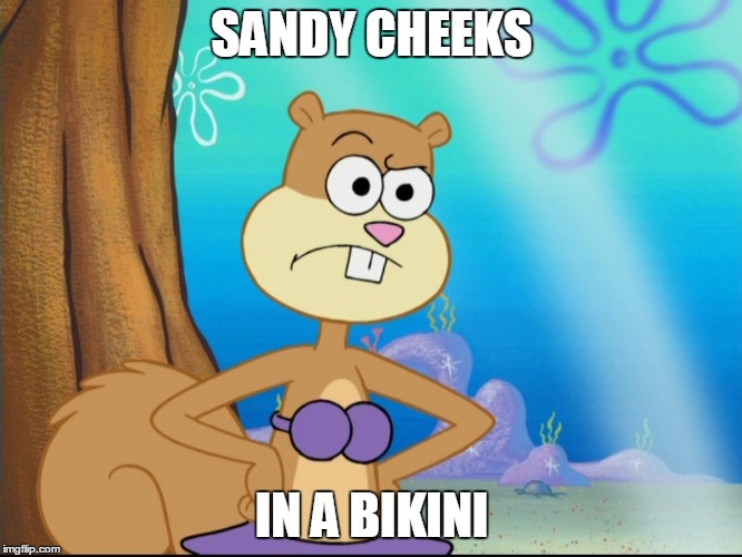 Sandy Cheeks Suspicious | SANDY CHEEKS; IN A BIKINI | image tagged in sandy cheeks suspicious | made w/ Imgflip meme maker