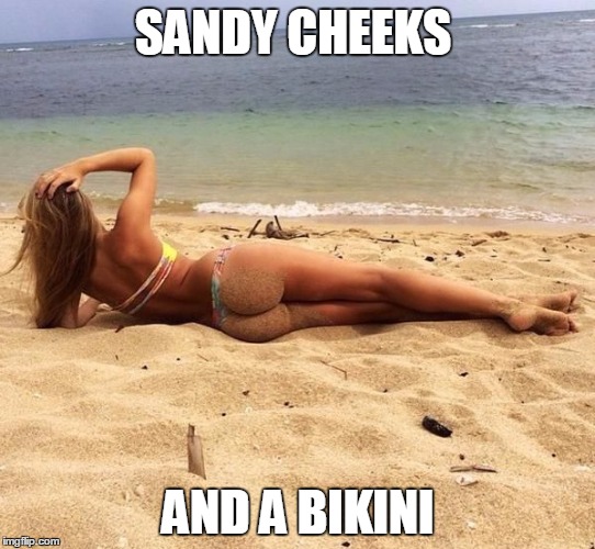 beach | SANDY CHEEKS; AND A BIKINI | image tagged in beach | made w/ Imgflip meme maker