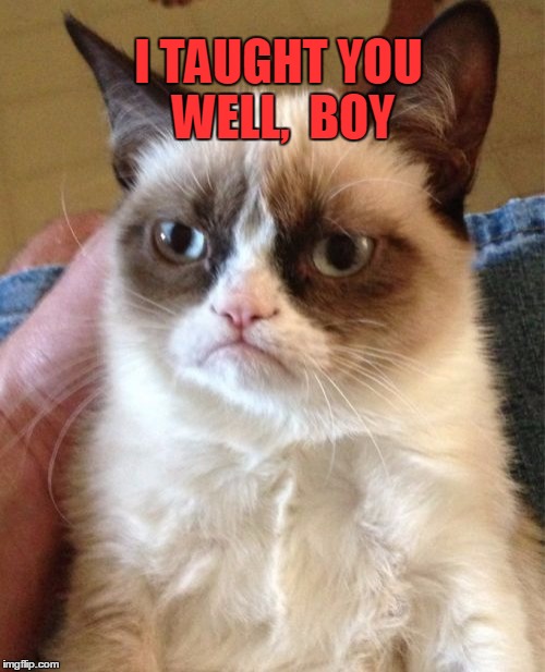 Grumpy Cat Meme | I TAUGHT YOU WELL,  BOY | image tagged in memes,grumpy cat | made w/ Imgflip meme maker