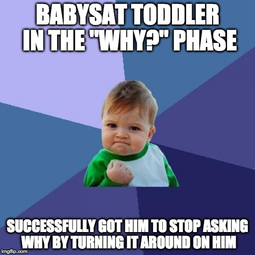 Success Kid Meme | BABYSAT TODDLER IN THE "WHY?" PHASE; SUCCESSFULLY GOT HIM TO STOP ASKING WHY BY TURNING IT AROUND ON HIM | image tagged in memes,success kid | made w/ Imgflip meme maker