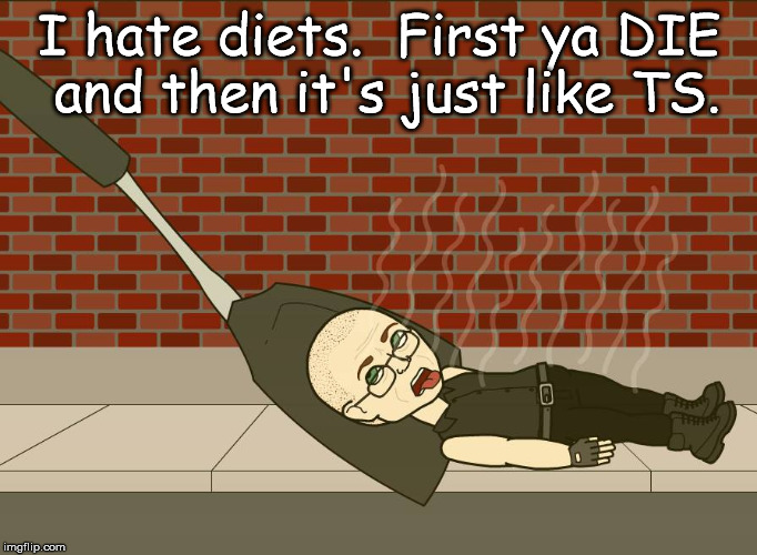 die ts | I hate diets.  First ya DIE and then it's just like TS. | image tagged in diet,diets | made w/ Imgflip meme maker