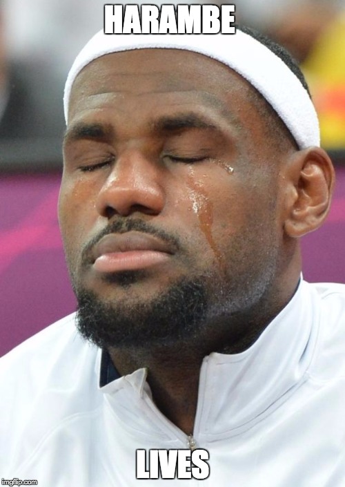 lebron james crying | HARAMBE; LIVES | image tagged in lebron james crying | made w/ Imgflip meme maker