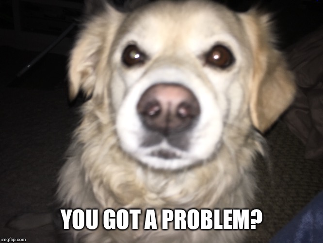 Problem? | YOU GOT A PROBLEM? | image tagged in problem solving | made w/ Imgflip meme maker