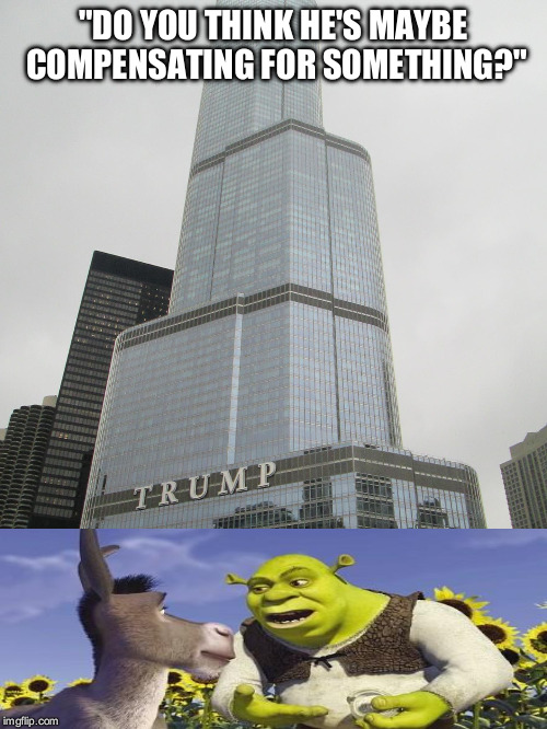 Welcome to Duloc | "DO YOU THINK HE'S MAYBE COMPENSATING FOR SOMETHING?" | image tagged in trump tower | made w/ Imgflip meme maker