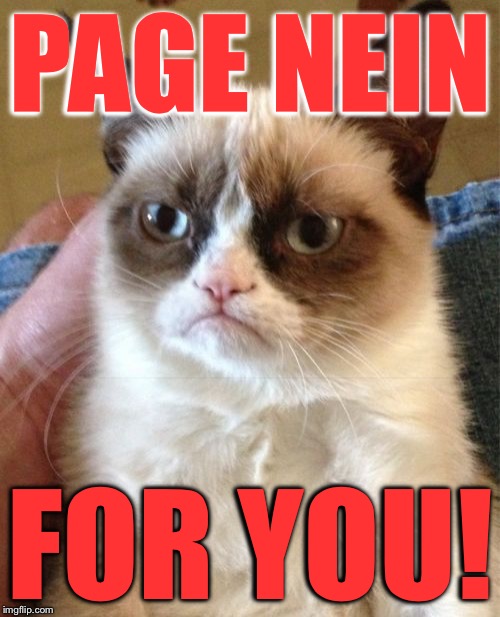 Top Users... | PAGE NEIN; FOR YOU! | image tagged in memes,grumpy cat,i did nazi that coming | made w/ Imgflip meme maker