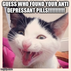 GUESS WHO FOUND YOUR ANTI DEPRESSANT PILLS!!!!!!!!!!! | image tagged in hello ladies | made w/ Imgflip meme maker