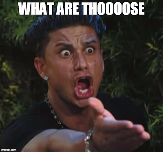 DJ Pauly D Meme | WHAT ARE THOOOOSE | image tagged in memes,dj pauly d | made w/ Imgflip meme maker