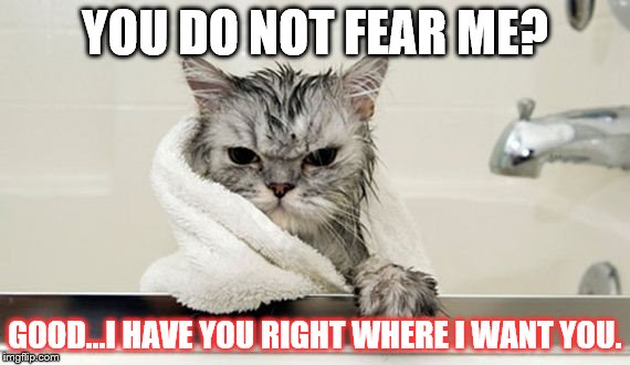Fear me! | YOU DO NOT FEAR ME? GOOD...I HAVE YOU RIGHT WHERE I WANT YOU. | image tagged in fear me,cat,wet cat,funny memes,really,good | made w/ Imgflip meme maker
