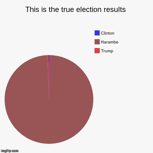 #clintonkilledharambe | image tagged in funny,pie charts,harambe,hillary clinton,donald trump,election 2016 | made w/ Imgflip chart maker