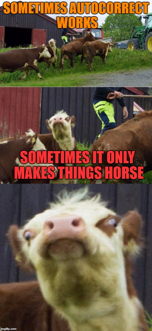 Bad Pun Cow | SOMETIMES AUTOCORRECT WORKS; SOMETIMES IT ONLY MAKES THINGS HORSE | image tagged in bad pun cow,eet moar horse,eet moar chikin,autocorrect first world pronunciations | made w/ Imgflip meme maker