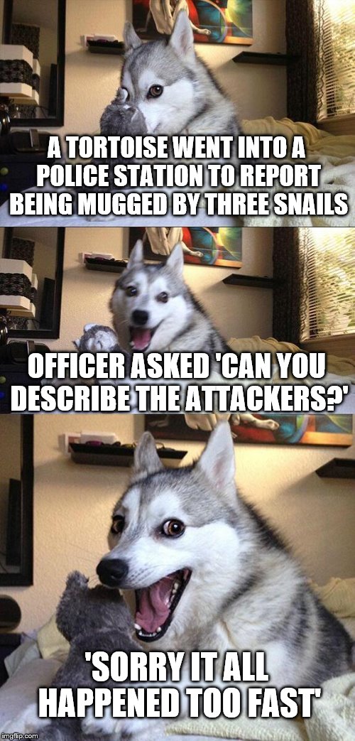 Bad Pun Dog Meme | A TORTOISE WENT INTO A POLICE STATION TO REPORT BEING MUGGED BY THREE SNAILS; OFFICER ASKED 'CAN YOU DESCRIBE THE ATTACKERS?'; 'SORRY IT ALL HAPPENED TOO FAST' | image tagged in memes,bad pun dog | made w/ Imgflip meme maker