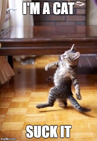 Cool Cat Stroll Meme | I'M A CAT; SUCK IT | image tagged in memes,cool cat stroll | made w/ Imgflip meme maker