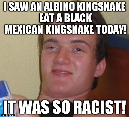 At least that's how the media would see it | I SAW AN ALBINO KINGSNAKE EAT A BLACK MEXICAN KINGSNAKE TODAY! IT WAS SO RACIST! | image tagged in memes,10 guy,liberal logic,kingsnake,biased media | made w/ Imgflip meme maker