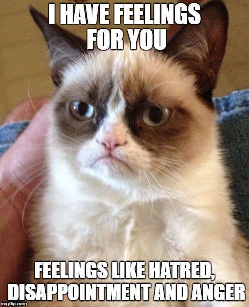 Grumpy Cat | I HAVE FEELINGS FOR YOU; FEELINGS LIKE HATRED, DISAPPOINTMENT AND ANGER | image tagged in memes,grumpy cat | made w/ Imgflip meme maker