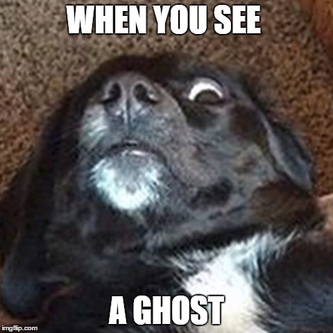 DoodleDonut #4 | WHEN YOU SEE; A GHOST | image tagged in donuts | made w/ Imgflip meme maker