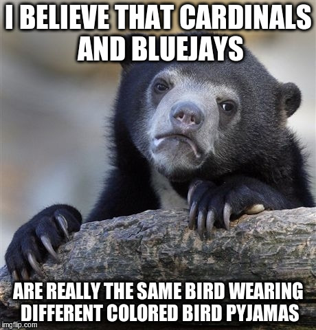 They both have that crest, y'know | I BELIEVE THAT CARDINALS AND BLUEJAYS; ARE REALLY THE SAME BIRD WEARING DIFFERENT COLORED BIRD PYJAMAS | image tagged in memes,confession bear | made w/ Imgflip meme maker