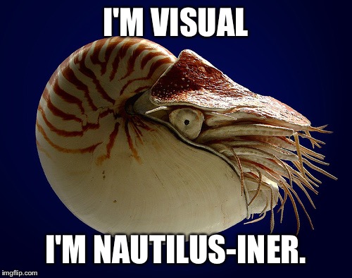 I'M VISUAL; I'M NAUTILUS-INER. | image tagged in nautilus,meme,awesome,hilarious,pun | made w/ Imgflip meme maker