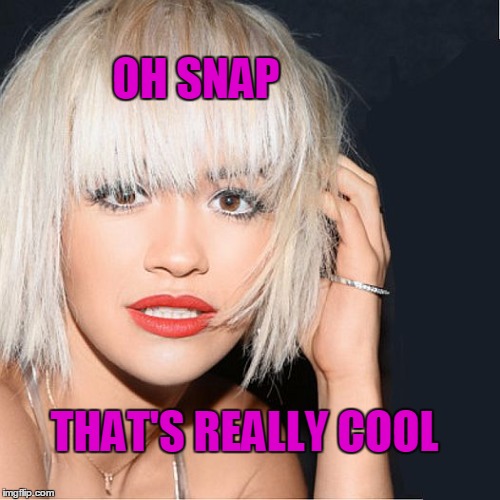 ditz | OH SNAP THAT'S REALLY COOL | image tagged in ditz | made w/ Imgflip meme maker