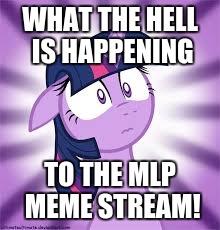 WHAT THE HELL IS HAPPENING; TO THE MLP MEME STREAM! | made w/ Imgflip meme maker