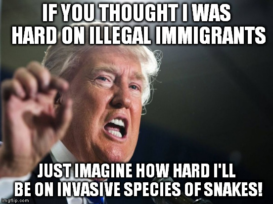 IF YOU THOUGHT I WAS HARD ON ILLEGAL IMMIGRANTS JUST IMAGINE HOW HARD I'LL BE ON INVASIVE SPECIES OF SNAKES! | made w/ Imgflip meme maker