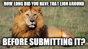 HOW LONG DID YOU HAVE THAT LION AROUND BEFORE SUBMITTING IT? | made w/ Imgflip meme maker