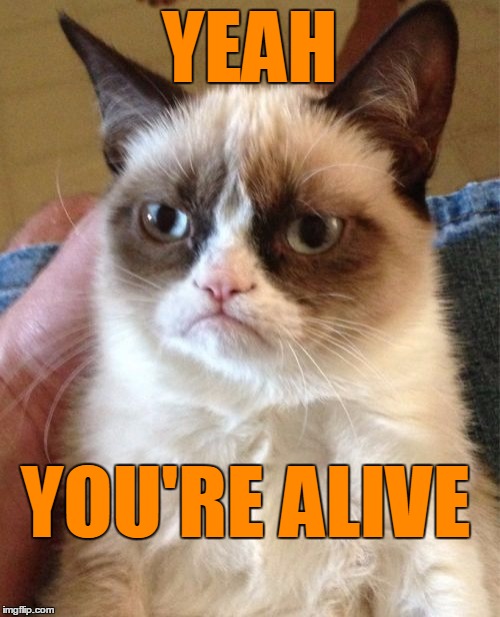 Grumpy Cat Meme | YEAH YOU'RE ALIVE | image tagged in memes,grumpy cat | made w/ Imgflip meme maker
