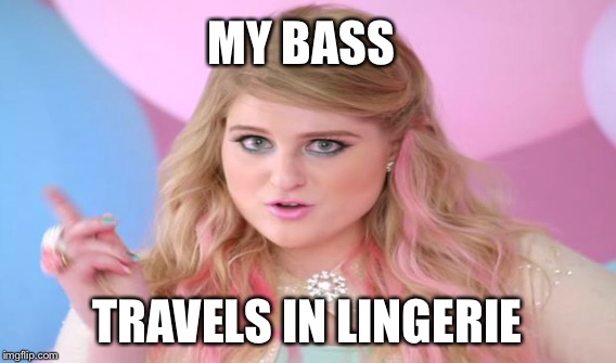 MY BASS TRAVELS IN LINGERIE | made w/ Imgflip meme maker