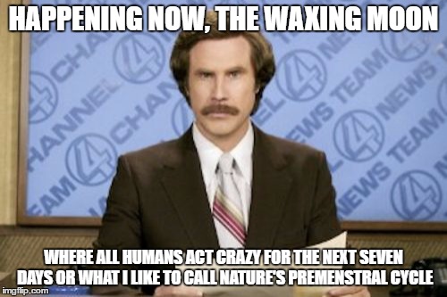 Ron Burgundy | HAPPENING NOW, THE WAXING MOON; WHERE ALL HUMANS ACT CRAZY FOR THE NEXT SEVEN DAYS OR WHAT I LIKE TO CALL NATURE'S PREMENSTRAL CYCLE | image tagged in memes,ron burgundy | made w/ Imgflip meme maker