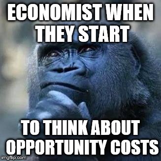 Thinking ape | ECONOMIST WHEN THEY START; TO THINK ABOUT OPPORTUNITY COSTS | image tagged in thinking ape | made w/ Imgflip meme maker
