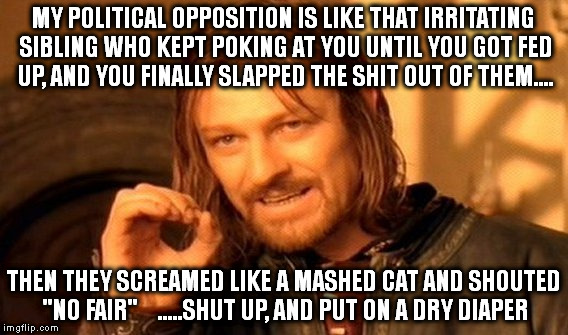 One Does Not Simply Meme | MY POLITICAL OPPOSITION IS LIKE THAT IRRITATING SIBLING WHO KEPT POKING AT YOU UNTIL YOU GOT FED UP, AND YOU FINALLY SLAPPED THE SHIT OUT OF THEM.... THEN THEY SCREAMED LIKE A MASHED CAT AND SHOUTED "NO FAIR"    .....SHUT UP, AND PUT ON A DRY DIAPER | image tagged in memes,one does not simply | made w/ Imgflip meme maker