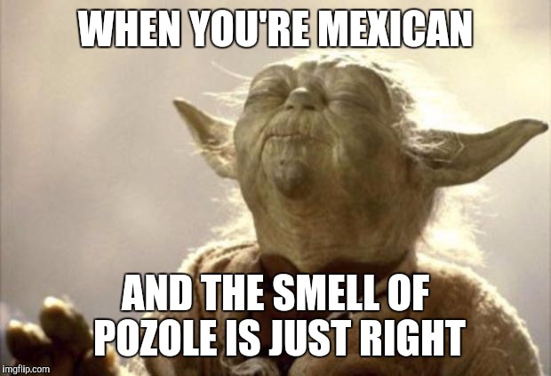 Some will know  | WHEN YOU'RE MEXICAN; AND THE SMELL OF POZOLE IS JUST RIGHT | image tagged in mexican food,pozole | made w/ Imgflip meme maker