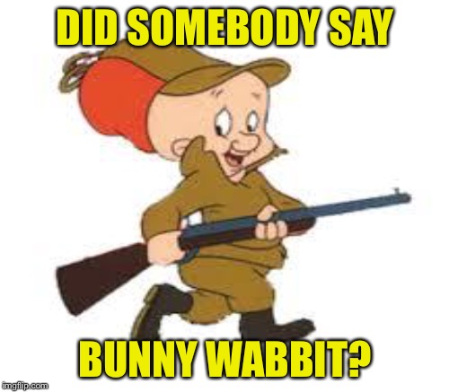 DID SOMEBODY SAY BUNNY WABBIT? | made w/ Imgflip meme maker