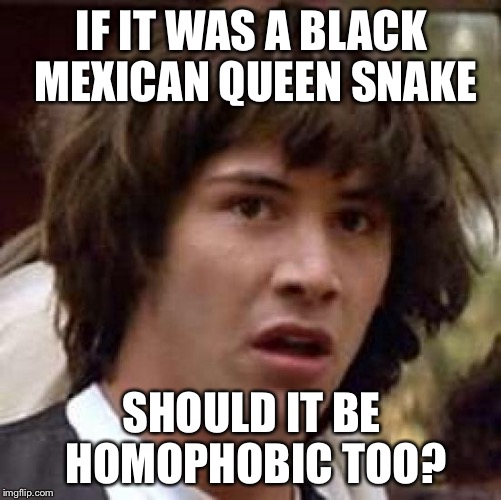 Conspiracy Keanu Meme | IF IT WAS A BLACK MEXICAN QUEEN SNAKE SHOULD IT BE HOMOPHOBIC TOO? | image tagged in memes,conspiracy keanu | made w/ Imgflip meme maker