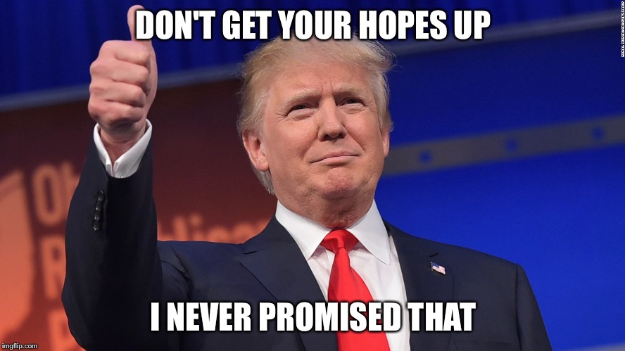 Trump Thumbs Up | DON'T GET YOUR HOPES UP I NEVER PROMISED THAT | image tagged in trump thumbs up | made w/ Imgflip meme maker