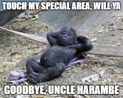 Mess with me, will ya Uncle Harambe? | TOUCH MY SPECIAL AREA, WILL YA; GOODBYE, UNCLE HARAMBE | image tagged in gorilla shot relax zoo harambe,harambe,gorilla | made w/ Imgflip meme maker