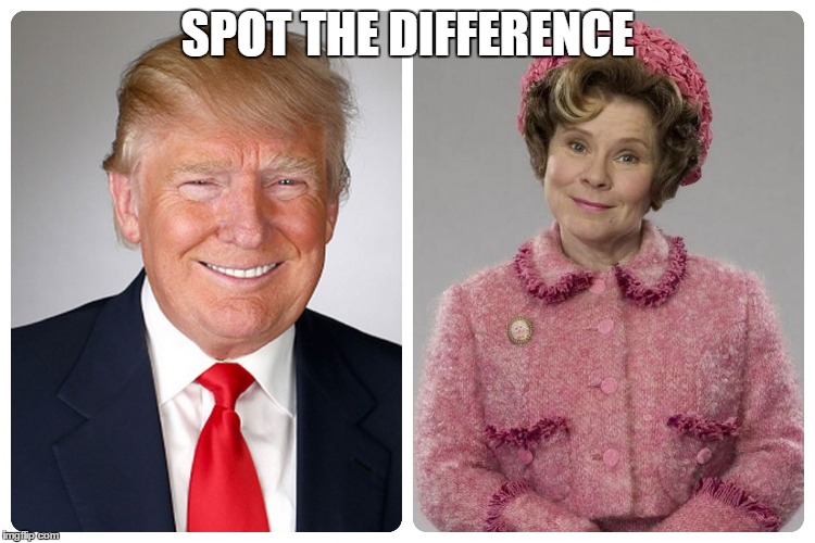 Trump Umbridge | SPOT THE DIFFERENCE | image tagged in trump umbridge | made w/ Imgflip meme maker