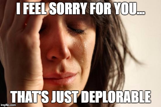 First World Problems Meme | I FEEL SORRY FOR YOU... THAT'S JUST DEPLORABLE | image tagged in memes,first world problems | made w/ Imgflip meme maker