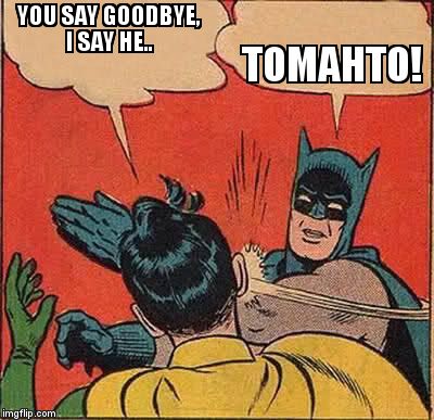 Batman Slapping Robin Meme | YOU SAY GOODBYE, I SAY HE.. TOMAHTO! | image tagged in memes,batman slapping robin | made w/ Imgflip meme maker