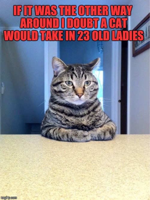 Take A Seat Cat | IF IT WAS THE OTHER WAY AROUND I DOUBT A CAT WOULD TAKE IN 23 OLD LADIES | image tagged in memes,take a seat cat | made w/ Imgflip meme maker