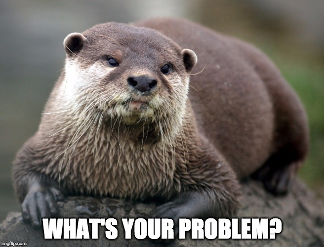 WHAT'S YOUR PROBLEM? | image tagged in otter_whats_your_problem | made w/ Imgflip meme maker